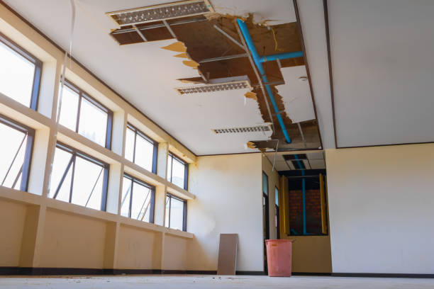 Best Carpet water damage restoration  in Campbell, MO