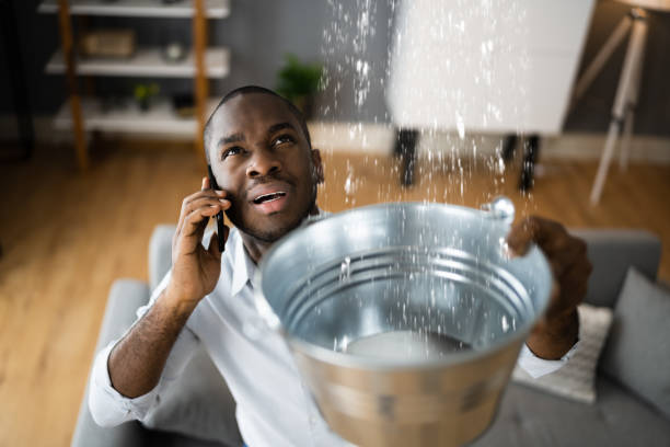 Best Residential water damage restoration  in Campbell, MO