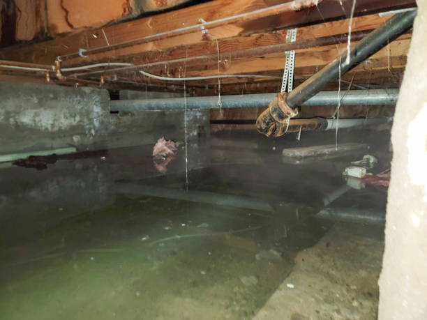 Best Emergency water damage restoration  in Campbell, MO