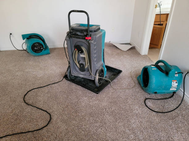 Campbell, MO Water damage restoration Pros