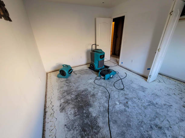 Best Professional water damage repair  in Campbell, MO