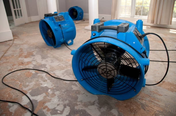 Best Water damage mitigation services  in Campbell, MO