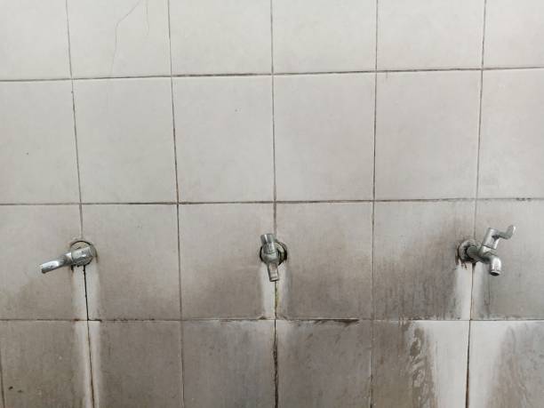 Best Mold removal after water damage  in Campbell, MO