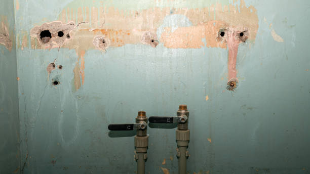 Best Flood damage cleanup  in Campbell, MO