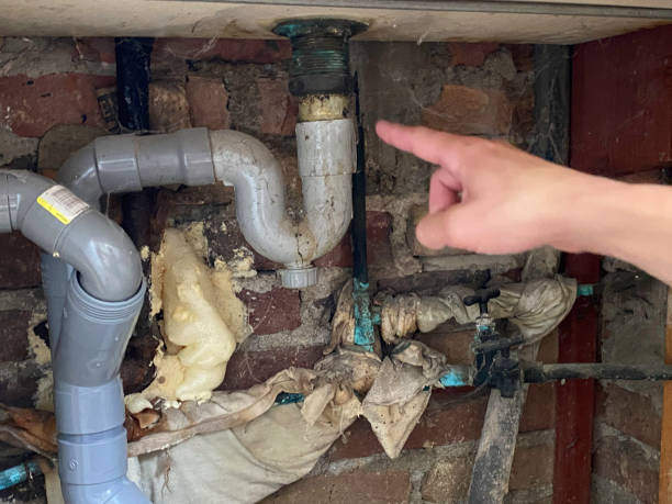 Best Ceiling water damage repair  in Campbell, MO