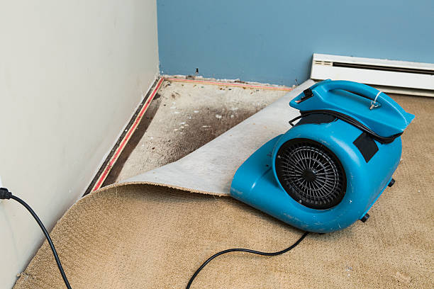 Best 24/7 water damage repair  in Campbell, MO